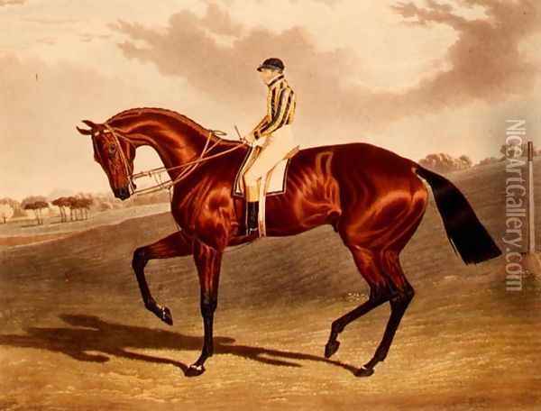 'Bay Middleton' winner of the Derby in 1836 Oil Painting - John Frederick Herring Snr