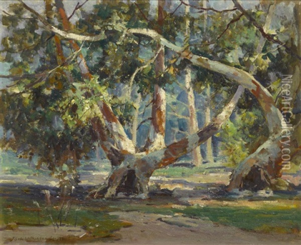 Scattered Sunlight In The Trees Oil Painting - Jack Wilkinson Smith
