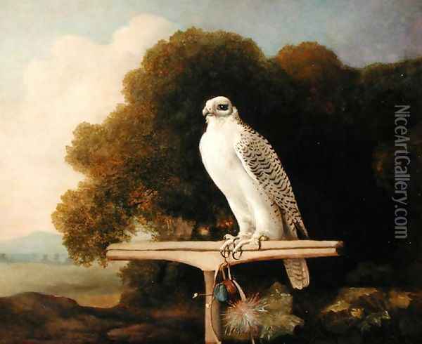 Greenland Falcon Grey Falcon, 1780 Oil Painting - George Stubbs