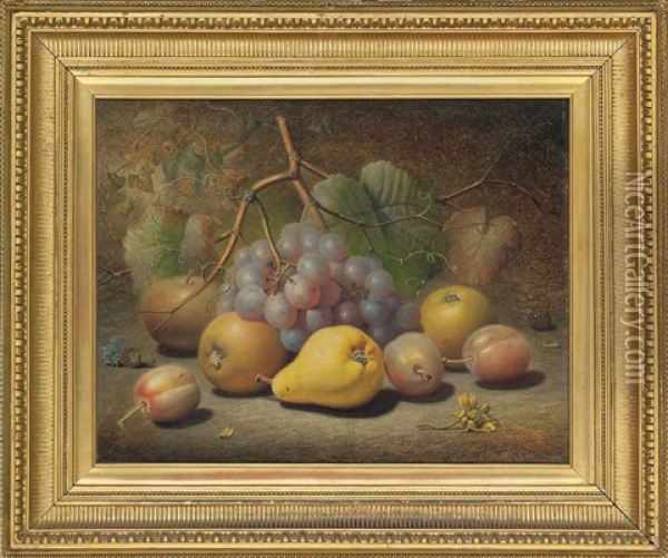 Grapes, Apples, Plums, Pear And A Thistle On A Mossy Bank Oil Painting - Charles Archer