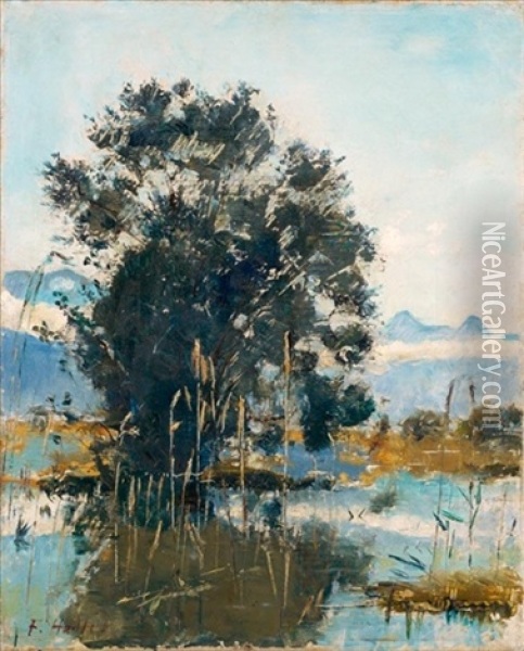 Sumpflandschaft Bei Gwatt (thunersee) Oil Painting - Ferdinand Hodler