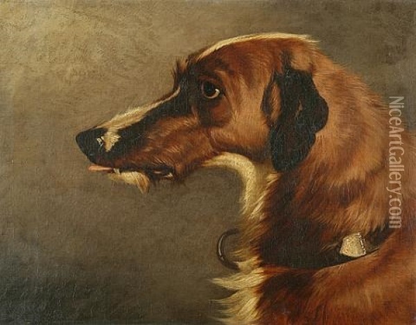 Profile Dog Portrait Of A Deerhound Oil Painting - Colin Graeme