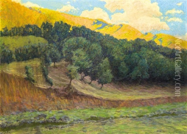 Sunny Hills Oil Painting - Hugo Poll