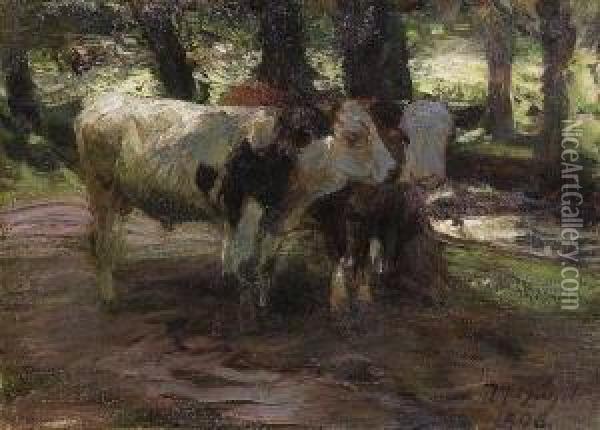 Zwei Jungrinder Unter
 Baumen. Oil Painting - Heinrich Johann Von Zugel