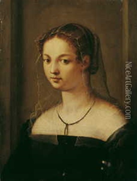 Bildnis Einer Jungen Frau Oil Painting - Sebastiano Del Piombo