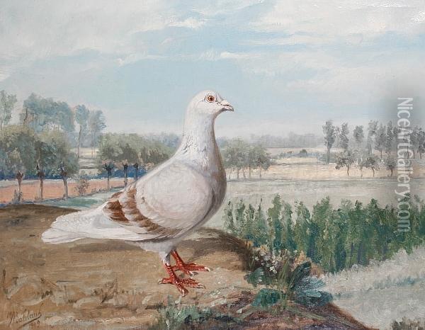 Pigeon Perched On A Bank With Trees Beyond Oil Painting - Jean Baldauf