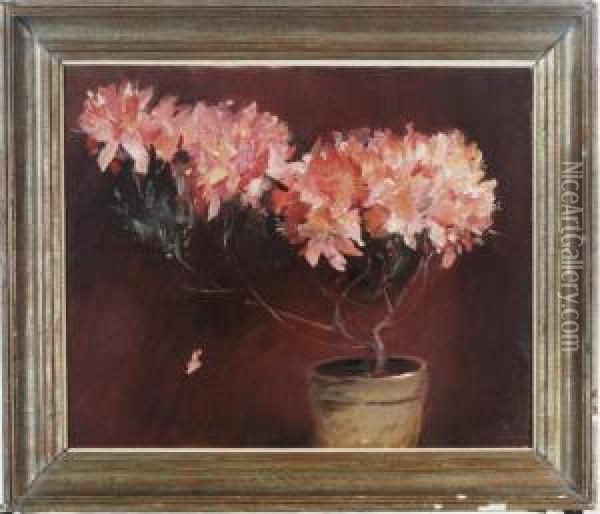 Study For Azaleas Oil Painting - John White Alexander