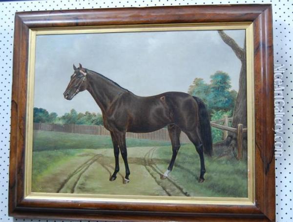 Portrait Of A Horse Oil Painting - Thomas Woodward