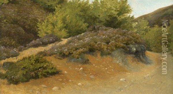 Landschaftstudie Der Septemberheide Bei Himmelbjerget Oil Painting - Hans Ludvig Smidth