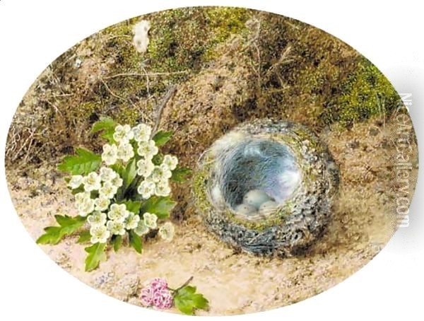Still-life of bird's nest and hawthorne, on a mossy bank Oil Painting - John Sherrin