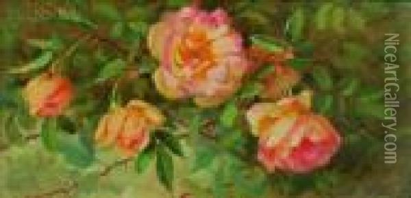 Roses Oil Painting - Edith White