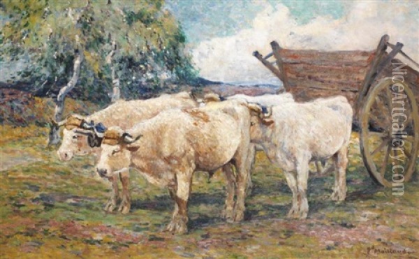 Les Boeufs Oil Painting - Fernand Maillaud