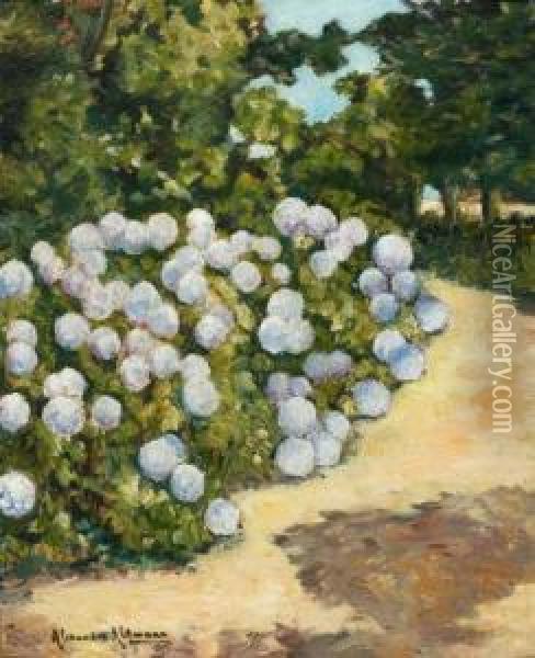 Le Massif D'hortensias Oil Painting - Alexander Altmann