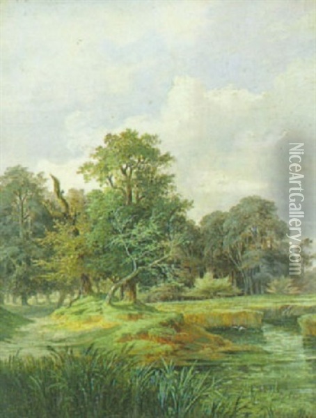 Aulandschaft Oil Painting - Anton Altmann the Younger