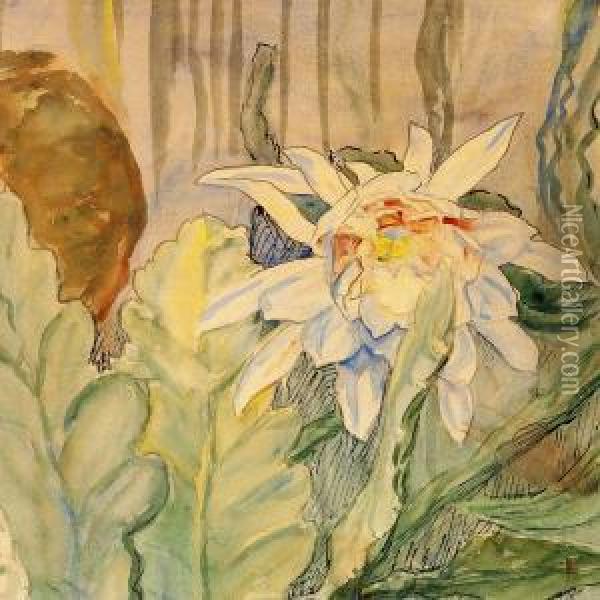 A Blooming Cactus Oil Painting - Anna L., Nee Hansen Syberg