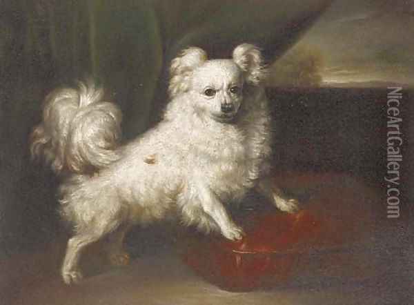 A pomeranian on a red cushion Oil Painting - English School