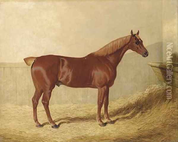 A chestnut in a stable Oil Painting - John Frederick Herring Snr