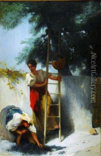 La Cueillette Des Olives En Provence Oil Painting - Francois Reynaud