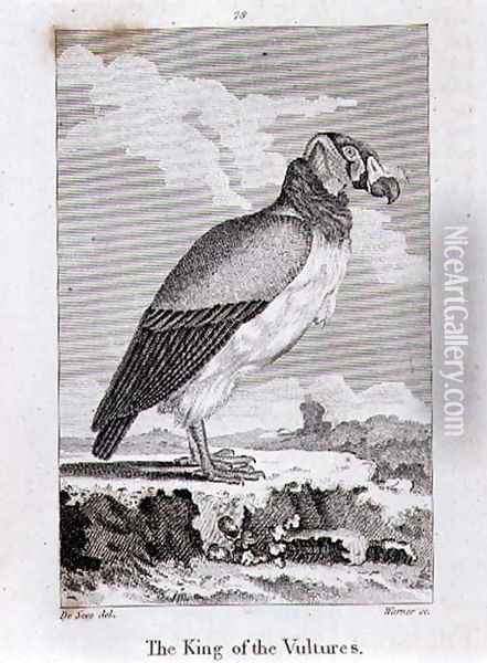 The King of The Vultures, from History of the Earth and Animated Nature, by Oliver Goldsmith, published in London, 1816 Oil Painting - Jacques de Seve