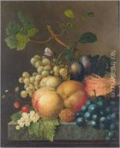 Still Life With Peaches, Plums, 
Strawberries, Grapes, A Walnut And A Melon On Stone Ledge Oil Painting - Willem van Leen