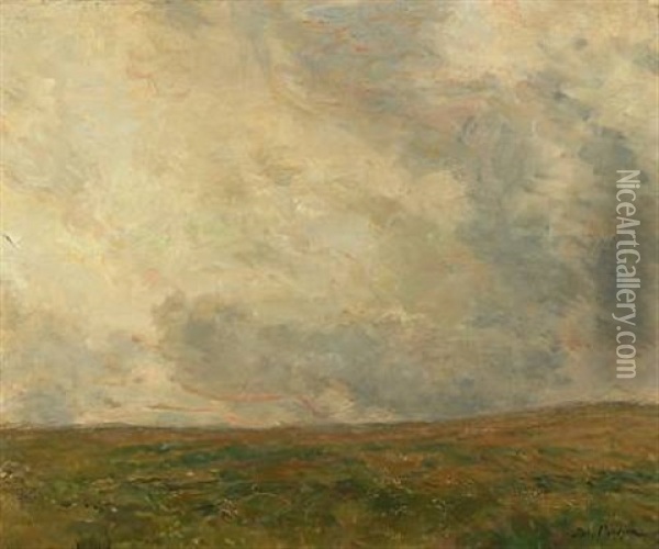 Landscape In Cloudy Weather Oil Painting - Julius Paulsen