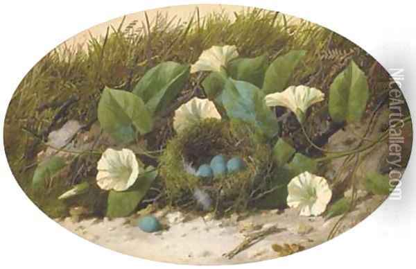 Convolvulus and a bird's nest on a mossy bank Oil Painting - William Cruickshank