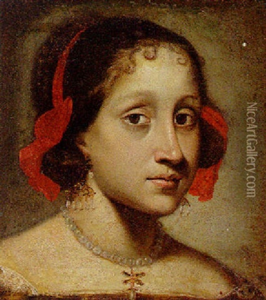 Head Of A Young Woman With A Red Ribbon In Her Hair Oil Painting - Pier Francesco Cittadini