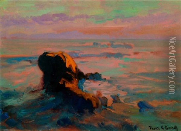 Coast At Sunset Oil Painting - Franz Arthur Bischoff