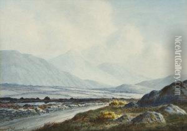 A Kerry Landscape And On The Road To Killorgin, Co. Kerry Oil Painting - Douglas Alexander