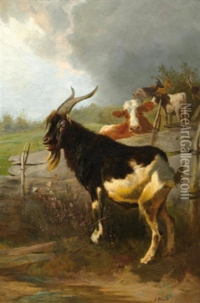 Kuhe Und Ziegen In Einer Landschaft Oil Painting - Anton Braith
