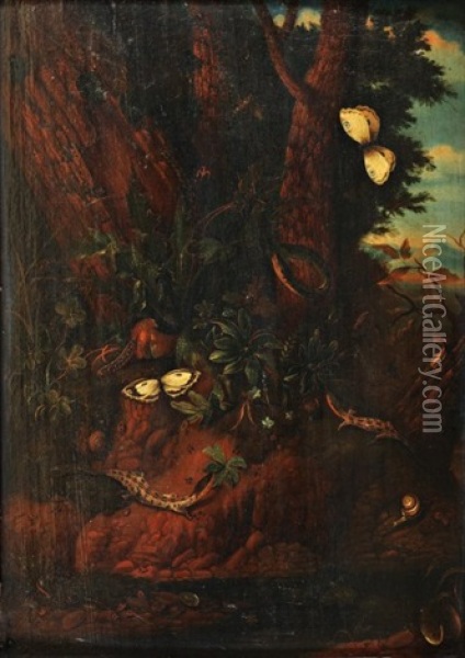 Lezards Et Papillons Dans Un Sous Bois Nocturne (in 2 Parts) Oil Painting - Carl Wilhelm de Hamilton