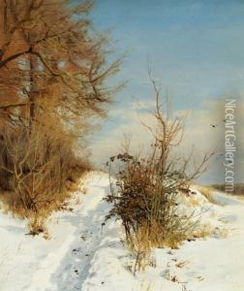 A Sunny Winter's Day Oil Painting - Thorvald Simeon Niss