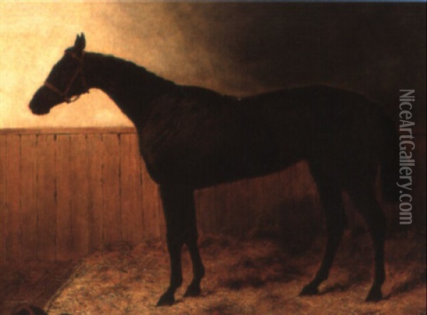 A Chestnut Racehorse In A Loose Box Oil Painting - Harry Hall