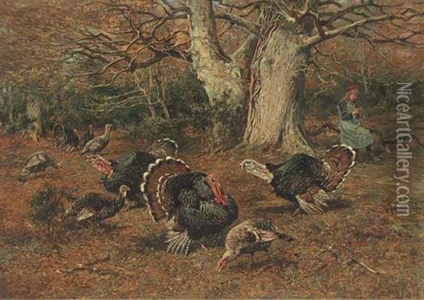 The Turkey Girl Oil Painting - John Emms