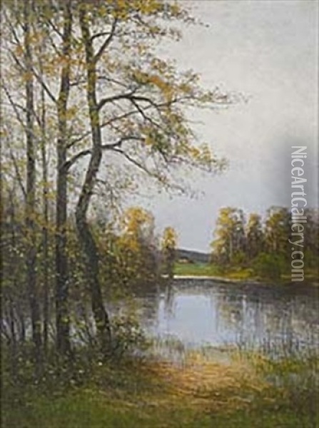 Sjolandskap I Kolmarden Oil Painting - Johan Severin Nilsson