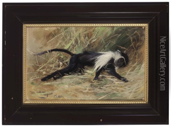 A Sleeping Monkey Oil Painting - Wilhelm Friedrich Kuhnert