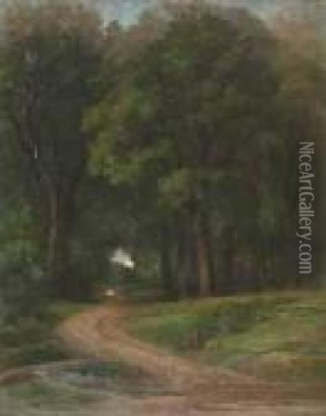Chemin En Sous-bois Oil Painting - Nicolas Louis Cabat