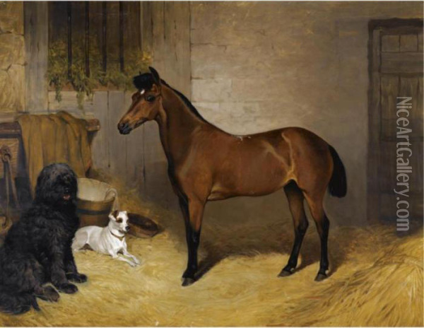 A Chestnut Horse With A Sheepdog And Terrier In A Stable Oil Painting - John Charlton