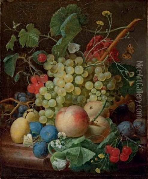 Grapes, Cherries, Peaches, Greengages, Plums, Daisies And A Butterfly On A Marble Ledge Oil Painting - Jean-Francois Eliaerts