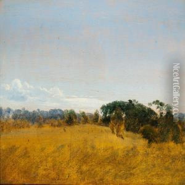 Summer Landscape With A View Of A Cornfield Oil Painting - Peter Christian T. Skovgaard