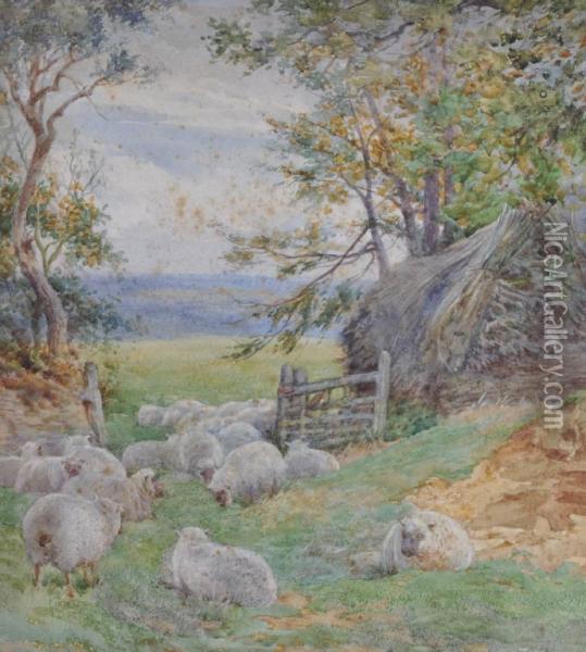 Sheep By A Gateway Oil Painting - Charles James Adams