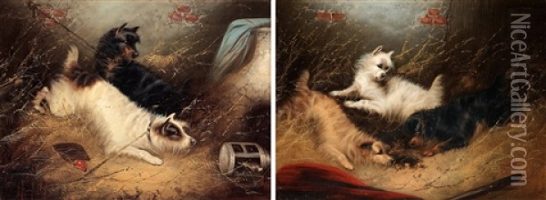 Terrier Pa Rattjakt (pair) Oil Painting - Edward Armfield