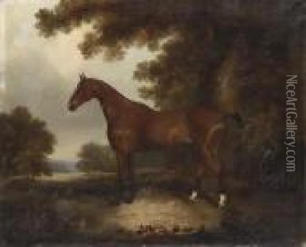 A Bay Hunter In A Wooded Landscape Oil Painting - John Snr Ferneley