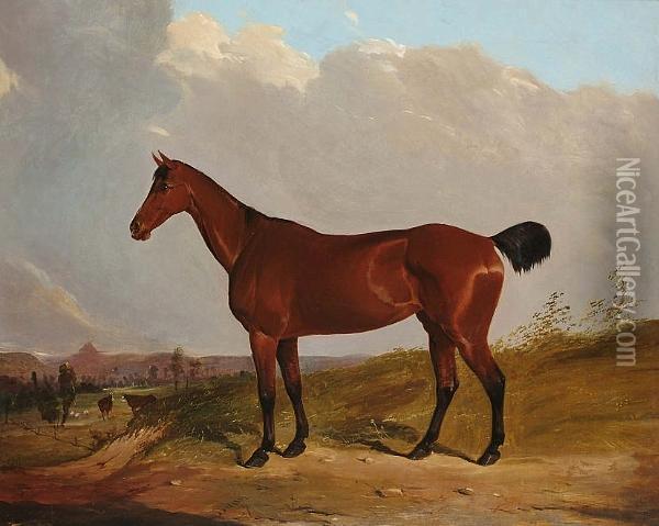 A Chestnut Hunter In A Landscape Oil Painting - Joseph Dunn Of Worcester