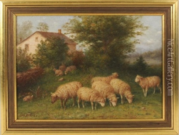 Sheep Grazing Oil Painting - George Riecke