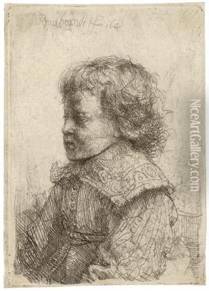 Portrait Of A Boy, In Profile Oil Painting - Rembrandt Van Rijn