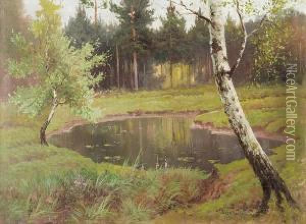 Small Wood Lake Oil Painting - Jozef Rapacki