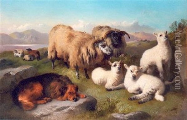 Sheep And Sheep Dog In A Highland Setting Oil Painting - George William Horlor