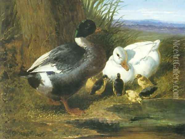 A Drake Duck Ducklings Oil Painting - John Frederick Herring Snr