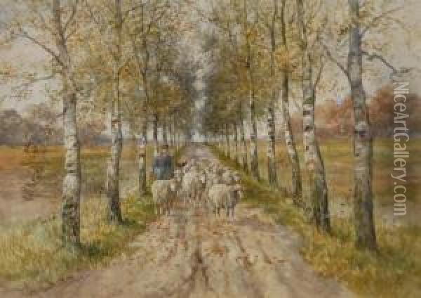 Shepherd On A Birch Lined Road Oil Painting - Hugo Fisher